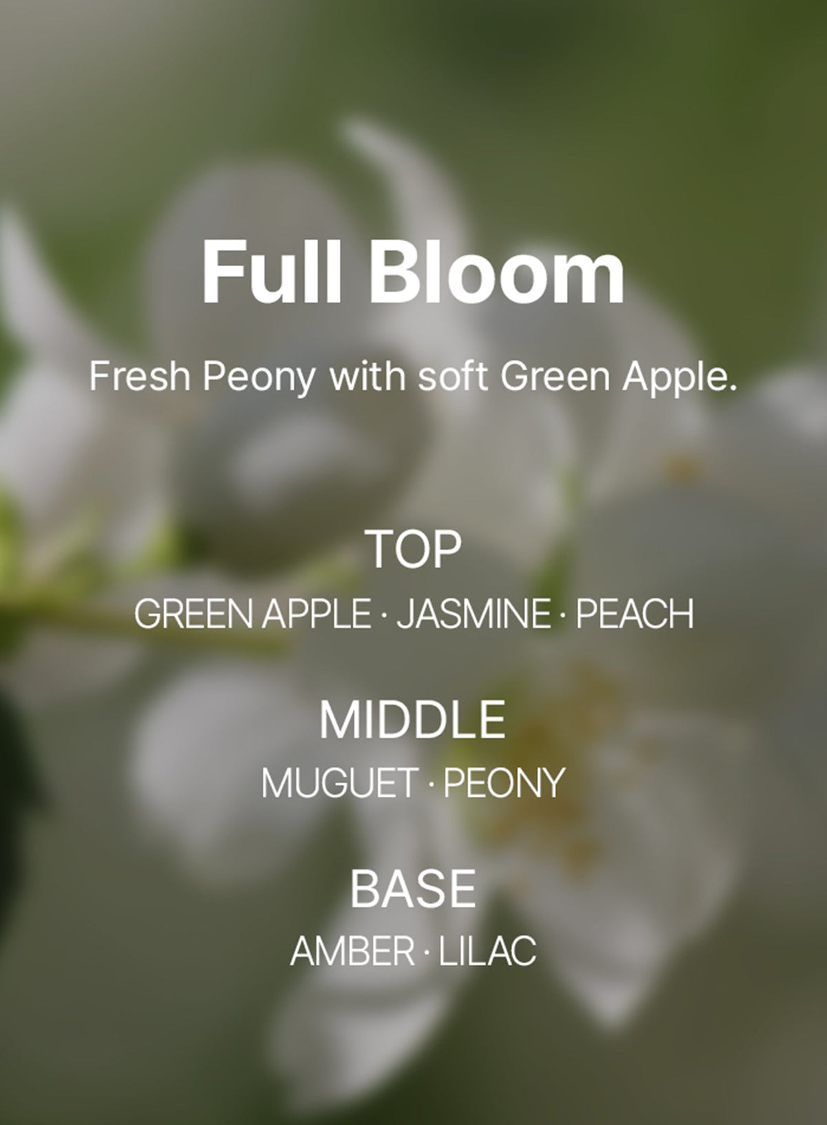 Perfume Glow Milk Hair Essence Full Bloom (80ml)