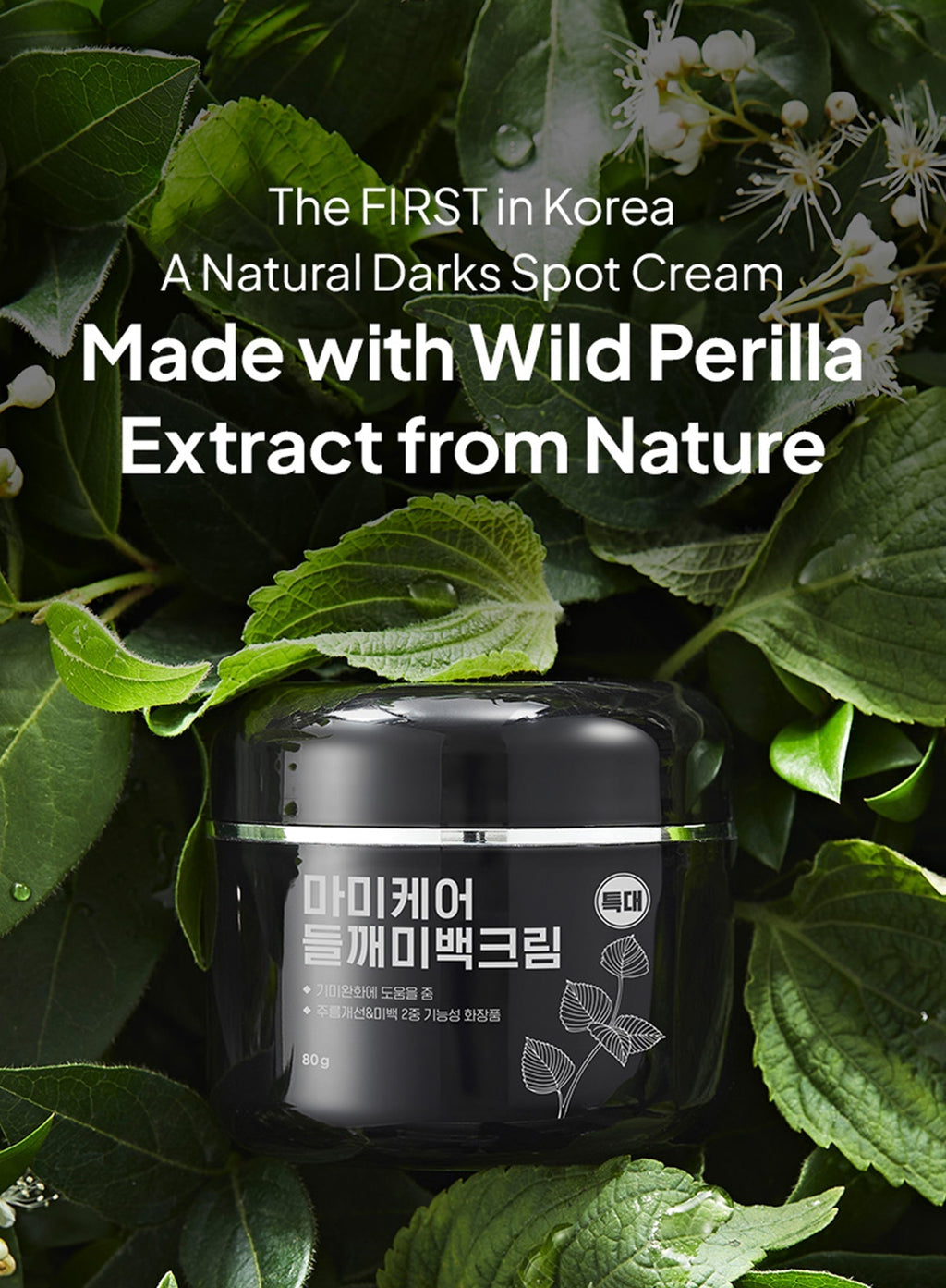 Perilla Brightening Cream Extra Large Trio Set (80g*3ea)
