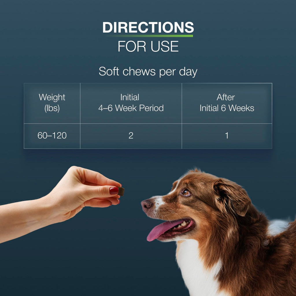 Nutramax Dasuquin MSM Joint Supplement for Large Dogs, Soft Chews, 42ct
