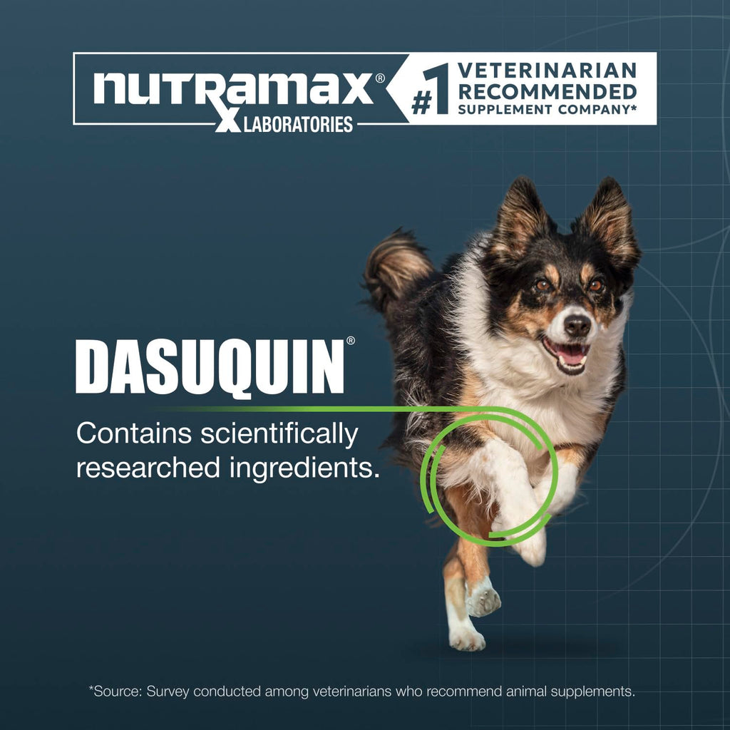 Nutramax Dasuquin MSM Joint Supplement for Large Dogs, Soft Chews, 42ct