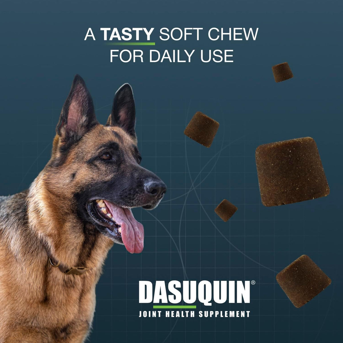 Nutramax Dasuquin MSM Joint Supplement for Large Dogs, Soft Chews, 42ct