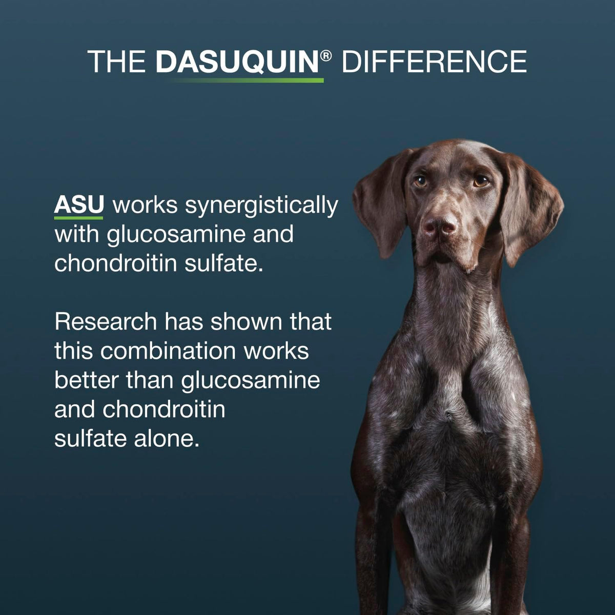 Nutramax Dasuquin MSM Joint Supplement for Large Dogs, Soft Chews, 42ct