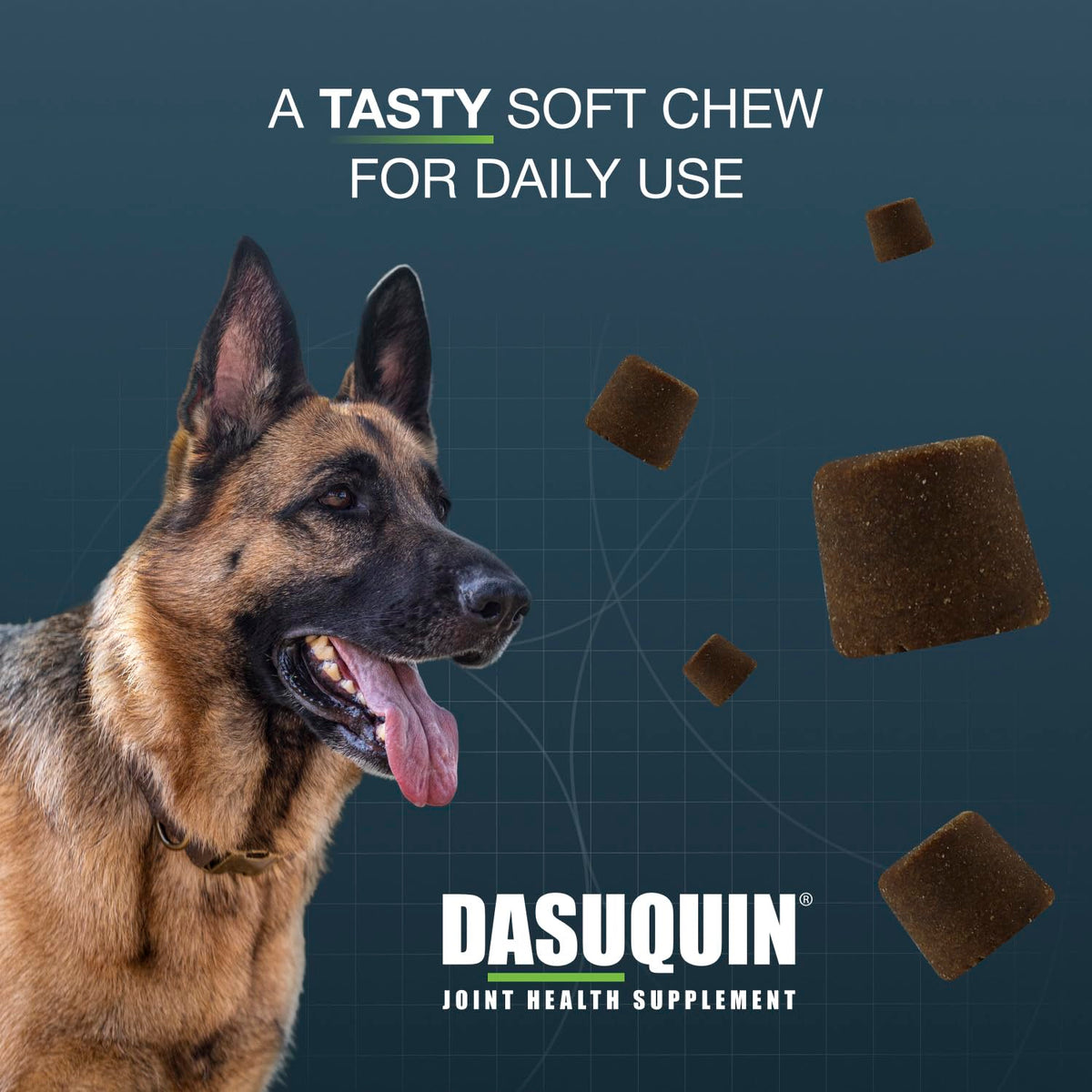 Nutramax Dasuquin MSM Joint Supplement for Large Dogs, Soft Chews, 42ct