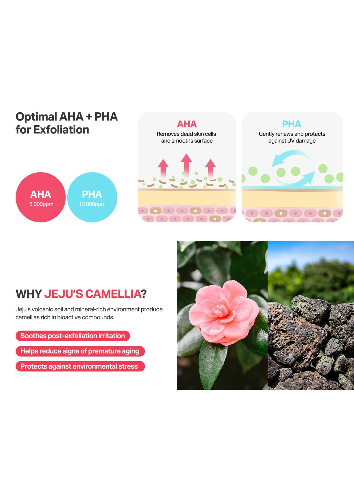 Camellia Clear Serum (30ml)