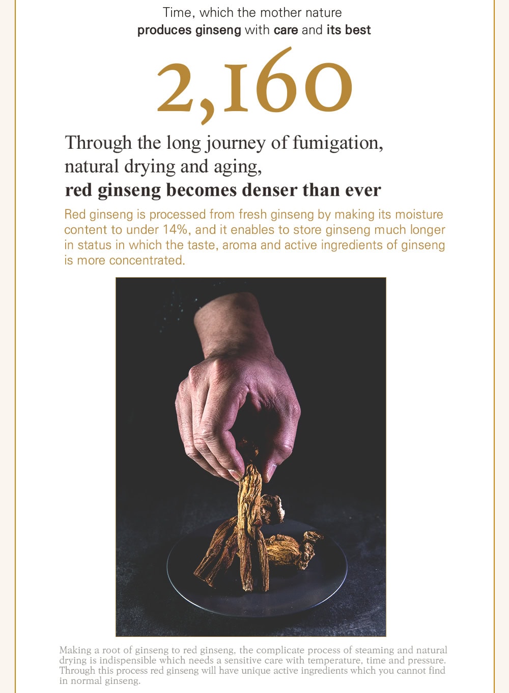 Ginseng Mask (120g)