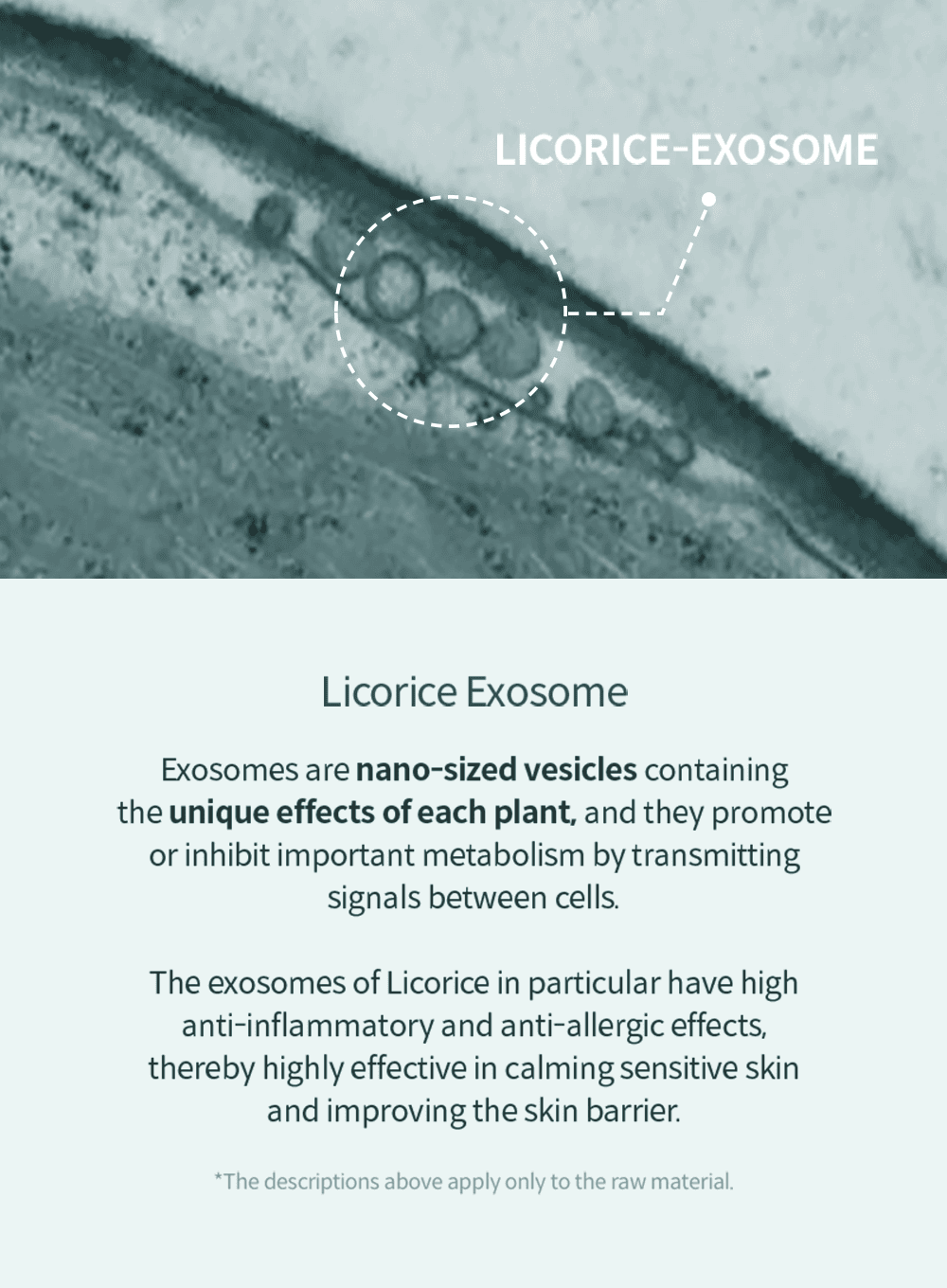 Licorice Soothing Ampoule (30ml)