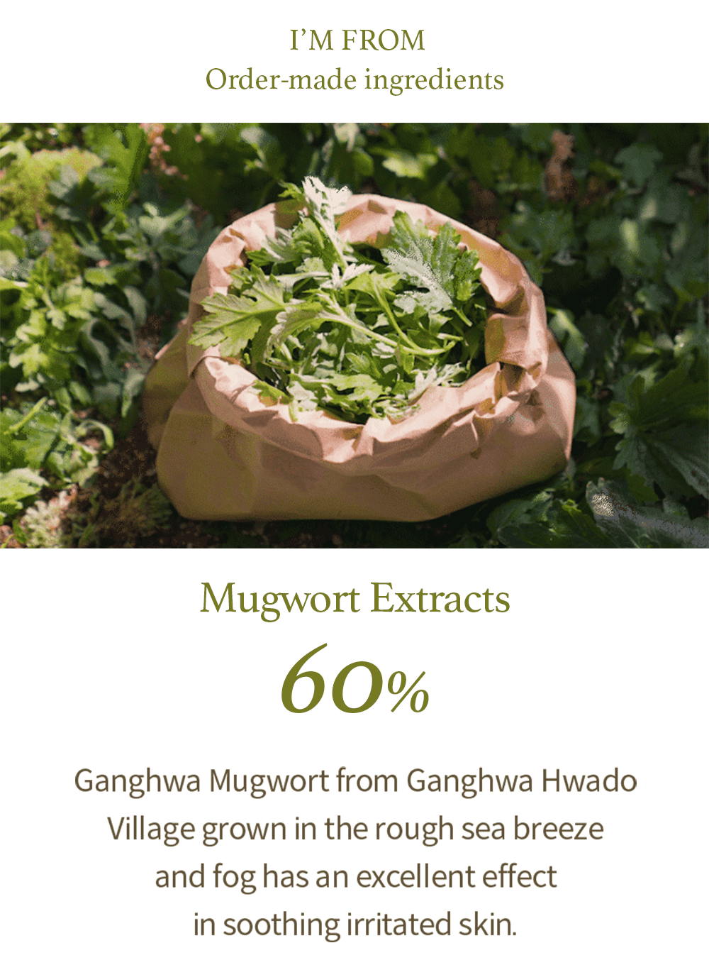 Mugwort Gel Cleanser Duo Set (150ml*2ea)
