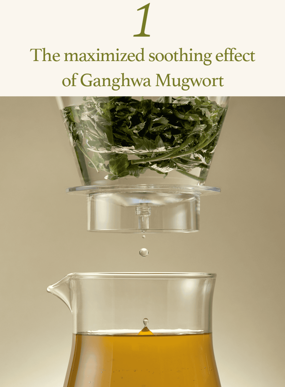 Mugwort Sheet Mask (23ml / 5ea)