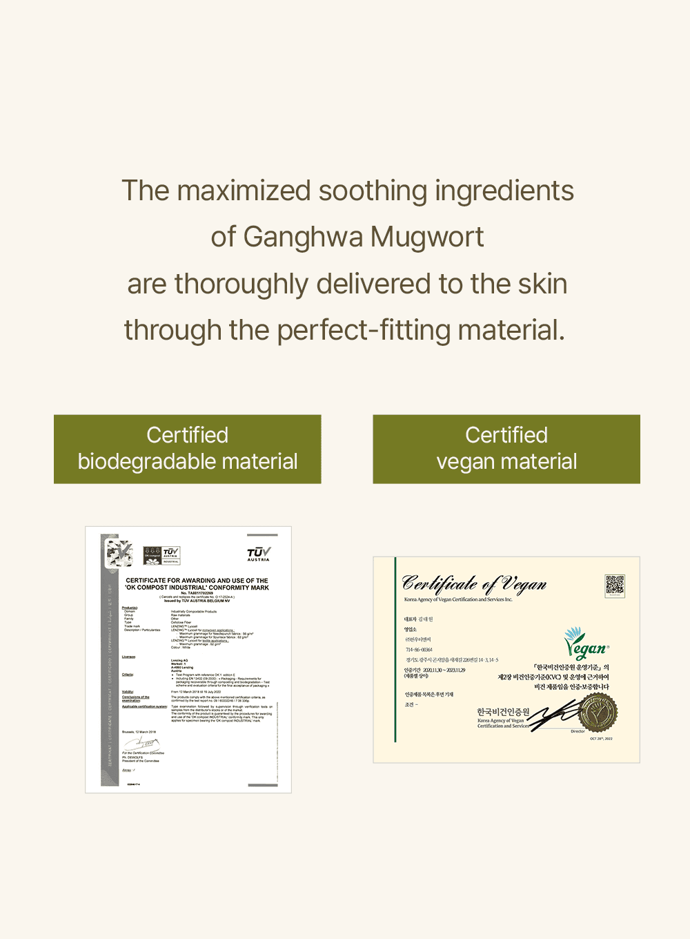 Mugwort Sheet Mask (23ml / 5ea)