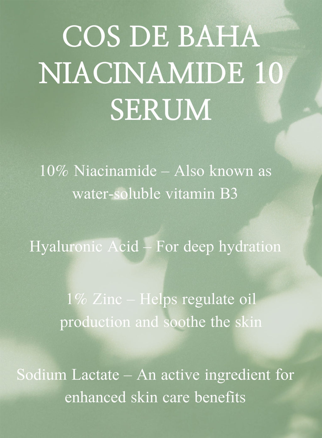 Niacinamide 10% Zinc PCA 1% Licorice Extract Hyaluronic Acid Serum 30ml (N)
