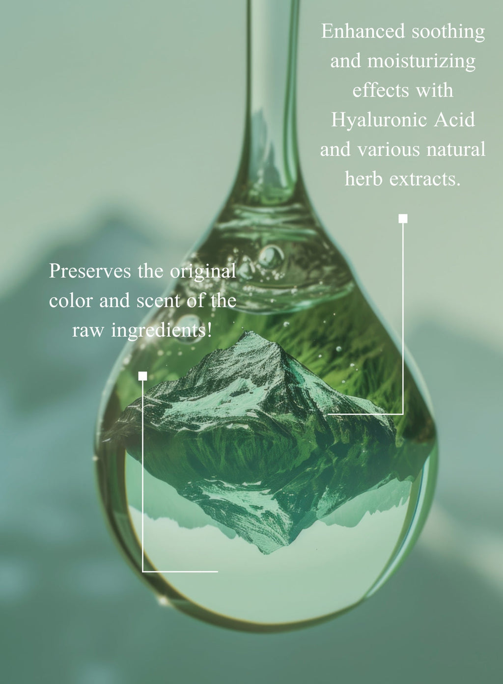 Niacinamide 10% Zinc PCA 1% Licorice Extract Hyaluronic Acid Serum 30ml (N)