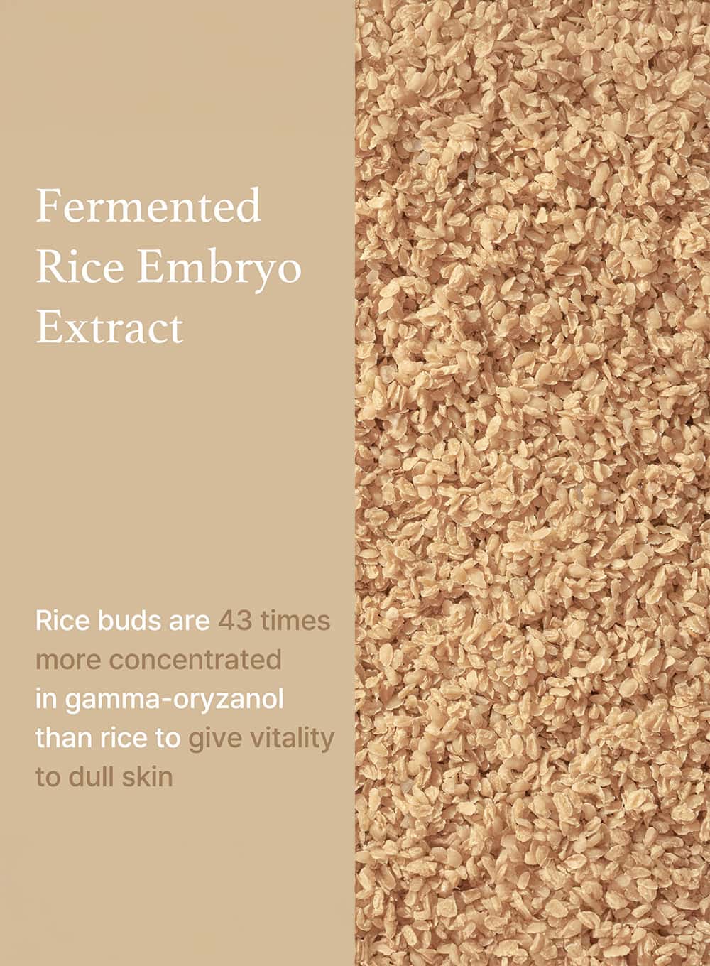 Rice Serum Trio Set (30ml*3ea)